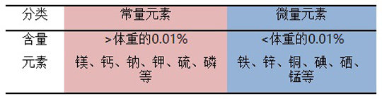 微信圖片_20190719083905.jpg